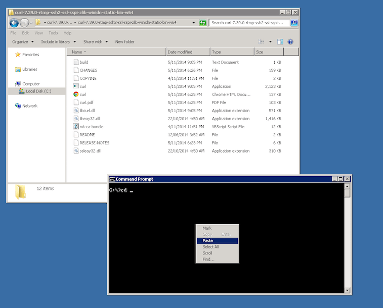 Curl on Windows step 3